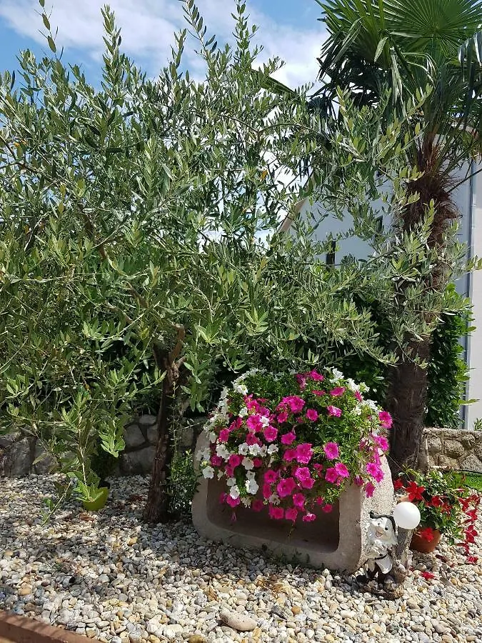 Bed and Breakfast Pansion Katarina Malinska Croazia